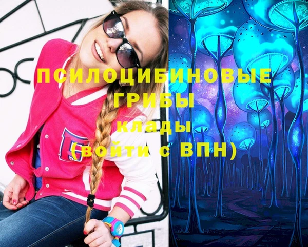 бутират Новозыбков
