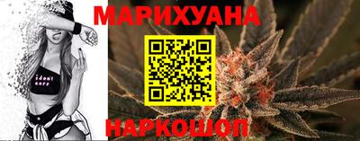 крисы Волгодонск