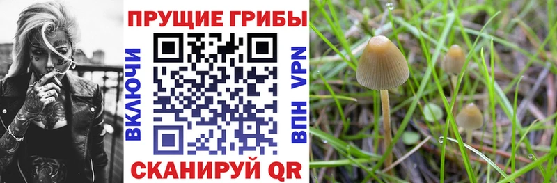 гидра рабочий сайт  это официальный сайт  Галлюциногенные грибы Psilocybine cubensis  Долгопрудный 