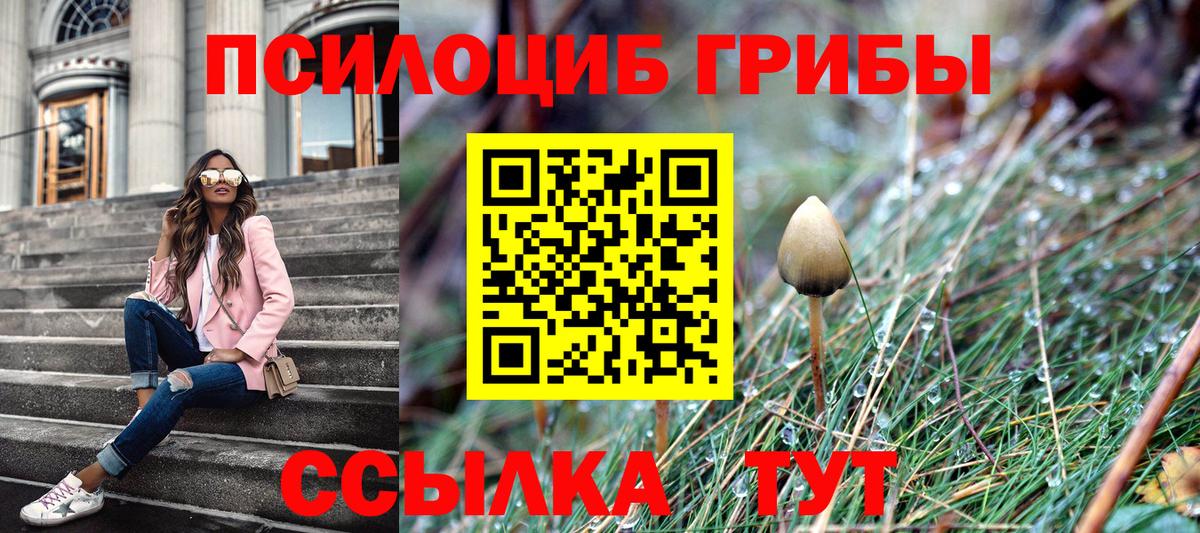 Псилоцибиновые грибы мицелий Долгопрудный