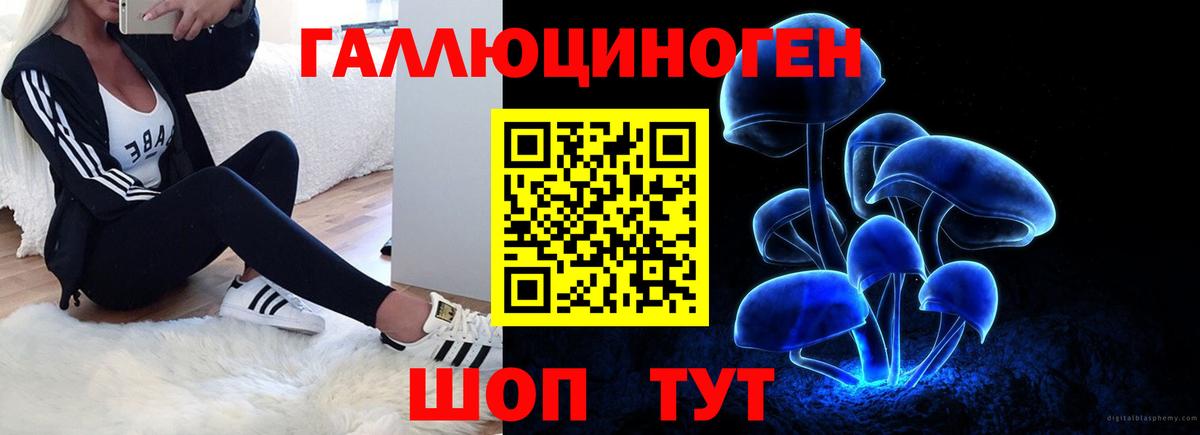 Долгопрудный  Псилоцибиновые грибы Cubensis  Вход с VPN 