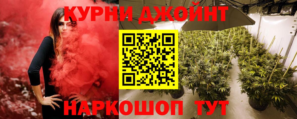 Бошки марихуана Amnesia  Каннабис SATIVA & INDICA  Долгопрудный  МАРИХУАНА план 